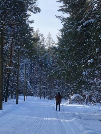 Лыжня в Дубравном лесу