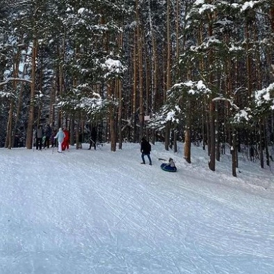 Горка в Дубравном лесу